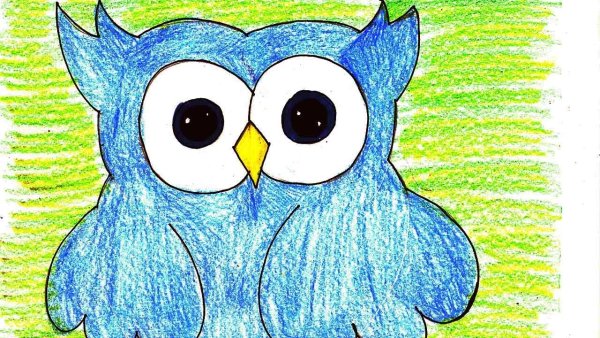 Сова скетч маркерами