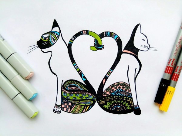 Портрет фломастерами и карандашом