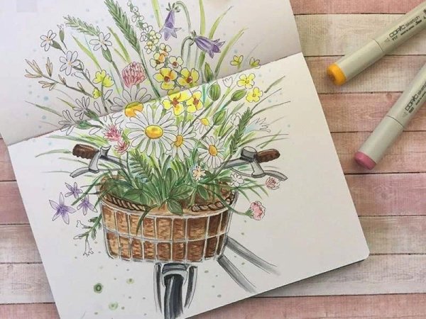 Огородный скетчинг