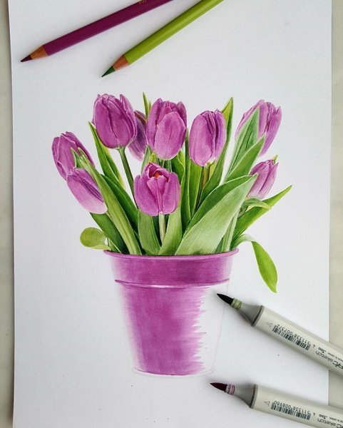 Цветы цветными карандашами