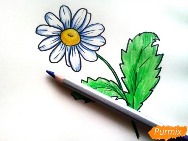 Ромашки фломастерами