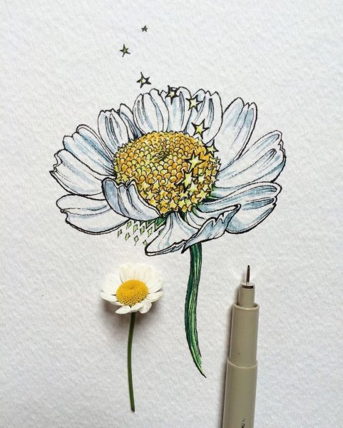 Тату Ромашка эскизы