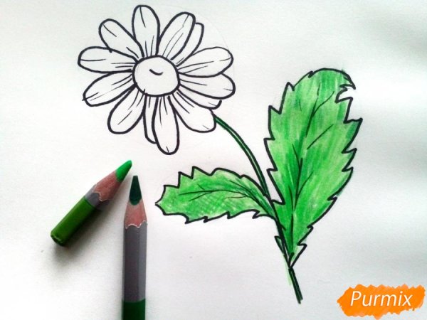 Рисование цветов маркерами ромашки