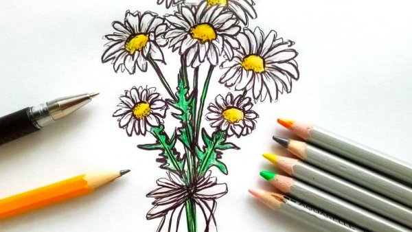 Ромашка для рисования