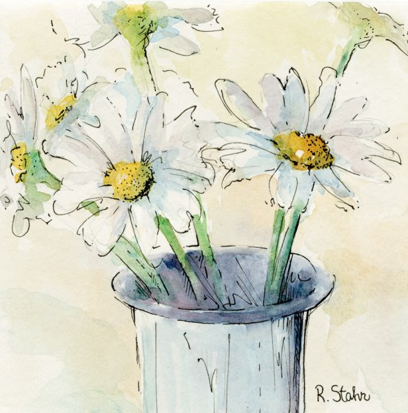 Скетч ромашки акварелью