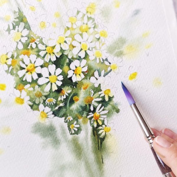 Нарисовать ромашку