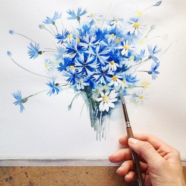 Ромашки цветными карандашами