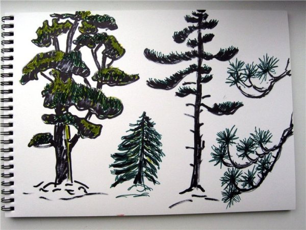 Декоративное рисование деревьев
