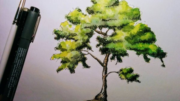 Декоративное дерево фломастером