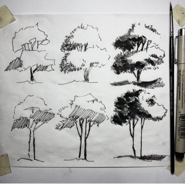 Деревья акварелью