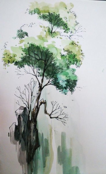 Альфред баша