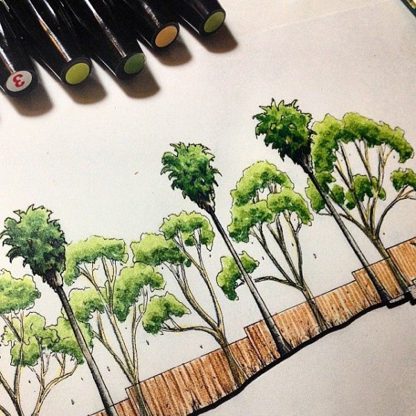 Дерево скетчбук