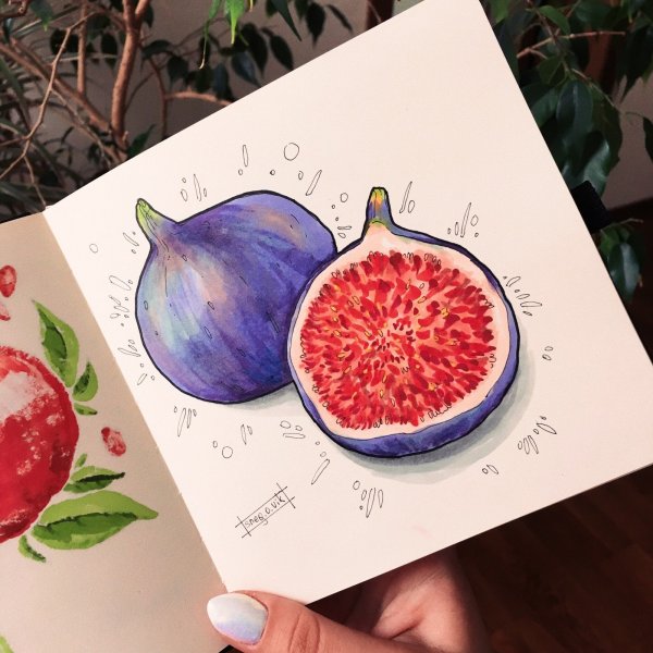 Фрукты скетч маркерами