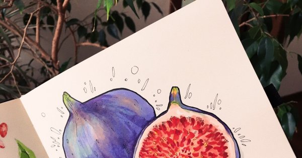 Фрукты спиртовыми маркерами