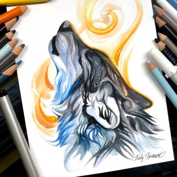 Волк фломастером