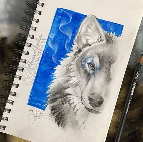 Волки в скетчбуке