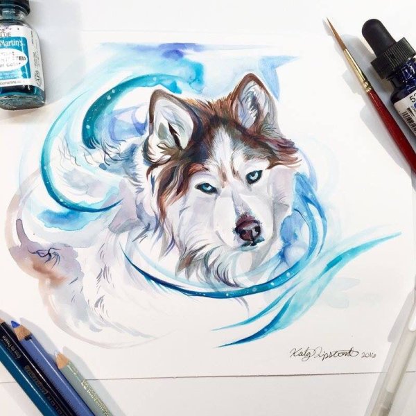 Волки красивые маркерами