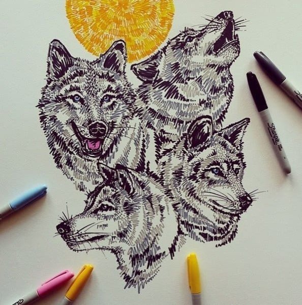Волк рисунок фломастером