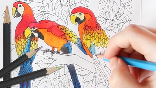 Рисунки девочек маркерами