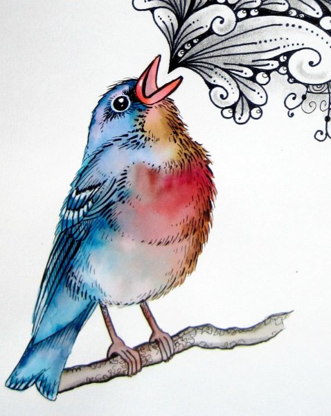 Птицы фломастерами