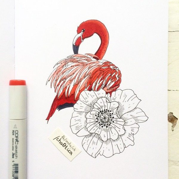 Птицы скетч маркерами