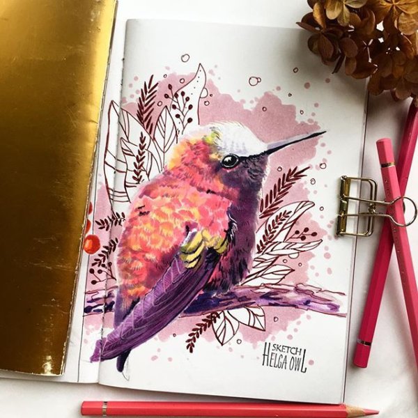 Птица маркерами