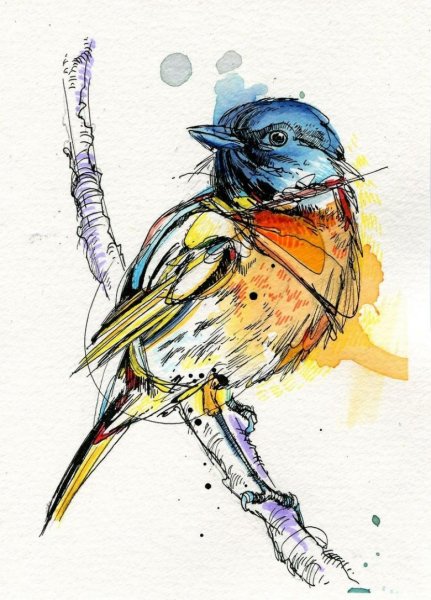 Снегирь скетч маркерами