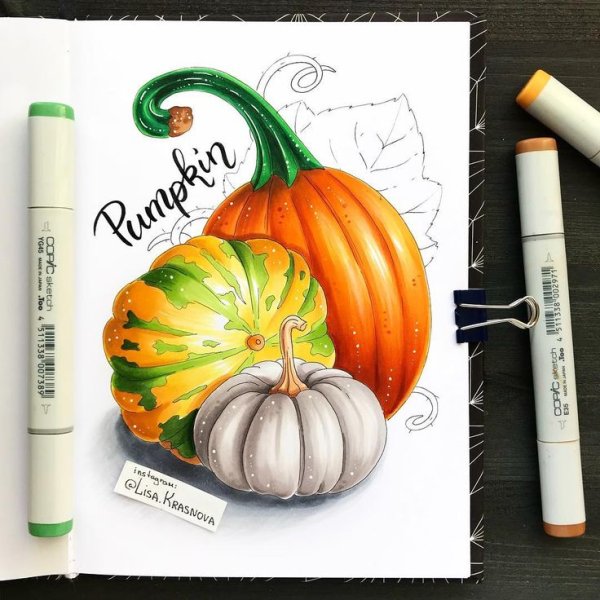 Тыква скетч