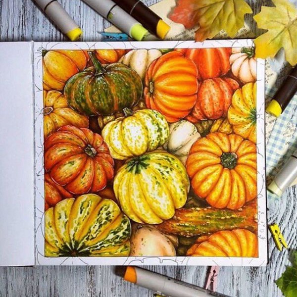 Тыква скетчбук