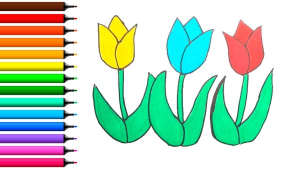 Рисунок тюльпан цветная легкие