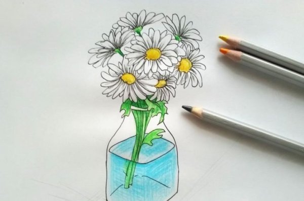 Ромашки в вазе карандашом