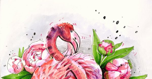 Фламинго рисунок фломастерами