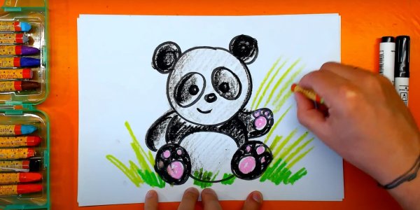 Как красиво раскрасить мишку фломастерами
