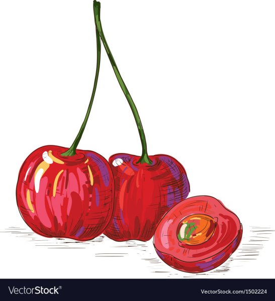 Вишня рисунок фломастером