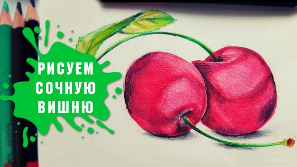 Нарисовать цветная капуста карандашом