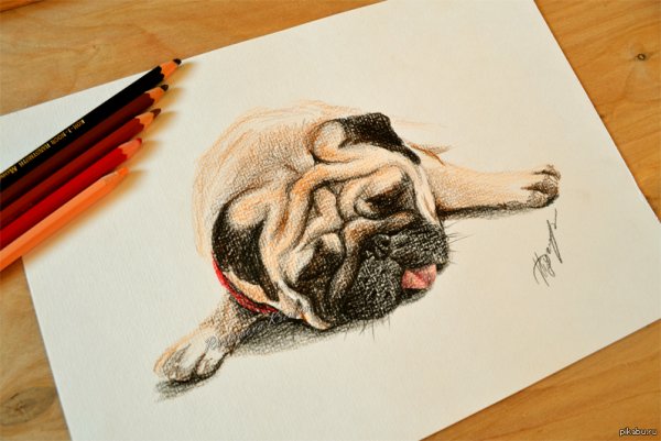 Рисунки акварельными карандашами для начинающих