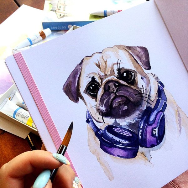 Скетчинг животных