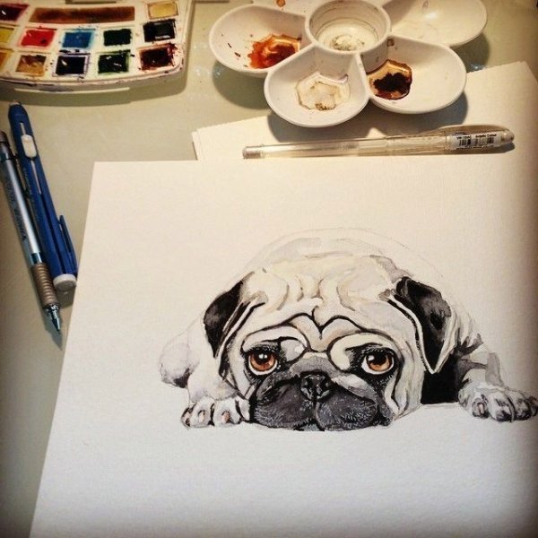 Мопс скетч маркерами