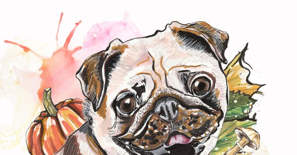 Мопс фломастерами