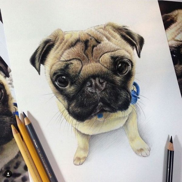 Рисунок МОПСА для Татуировки