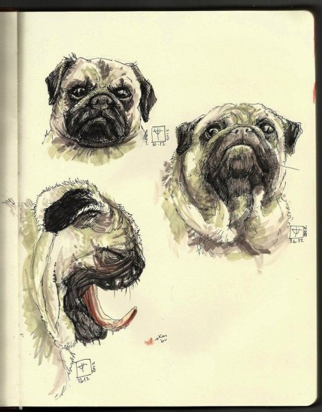 Мопс скетч маркерами