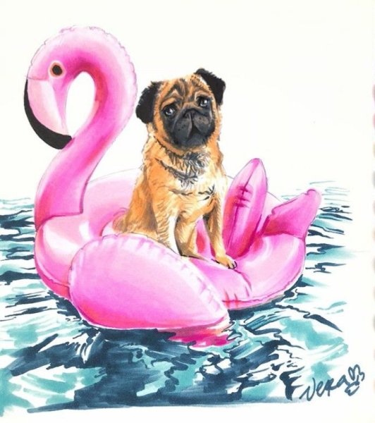 Надувной круг для собак