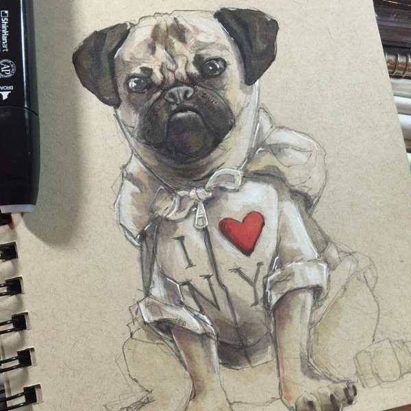 Мопс маркерами