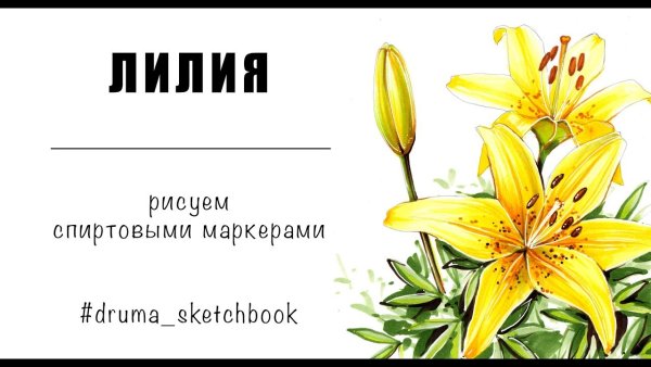 Лилии рисунок маркерами