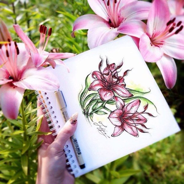Лилии скетч маркерами