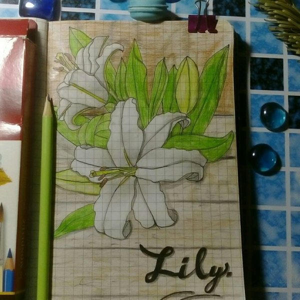 Лилии рисунок маркерами