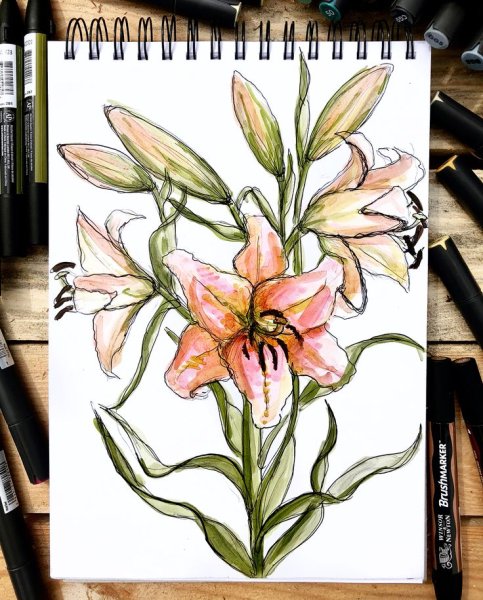 Лилия маркерами