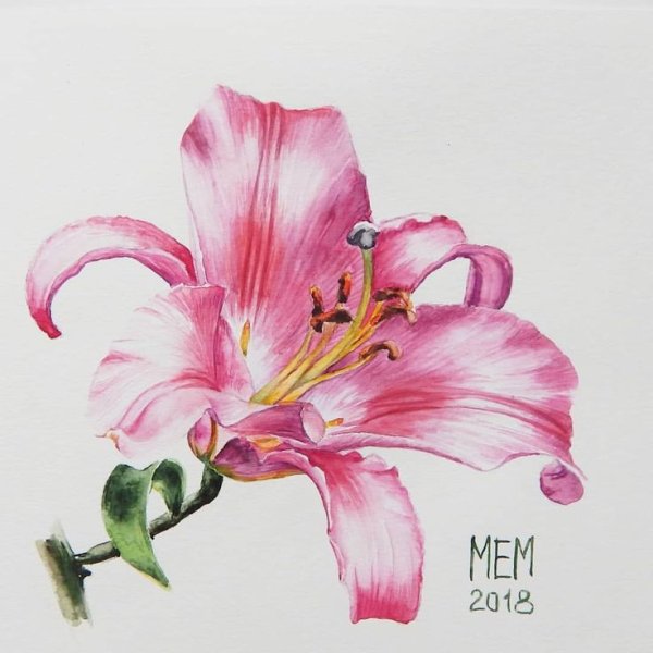 Рисуем лилию маркерами