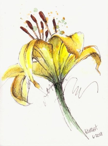 Рисование цветов акварель и линер