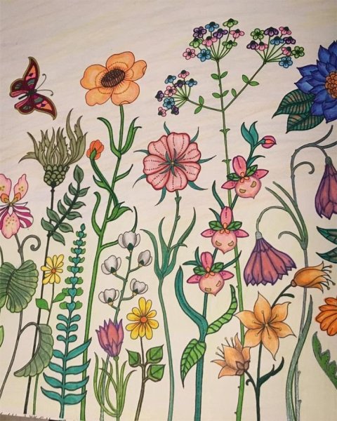 Цветок фломастерами легкий